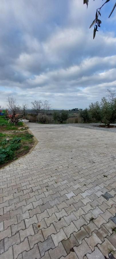 Merumalia Wine Resort Фраскаті Екстер'єр фото