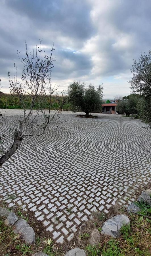 Merumalia Wine Resort Фраскаті Екстер'єр фото