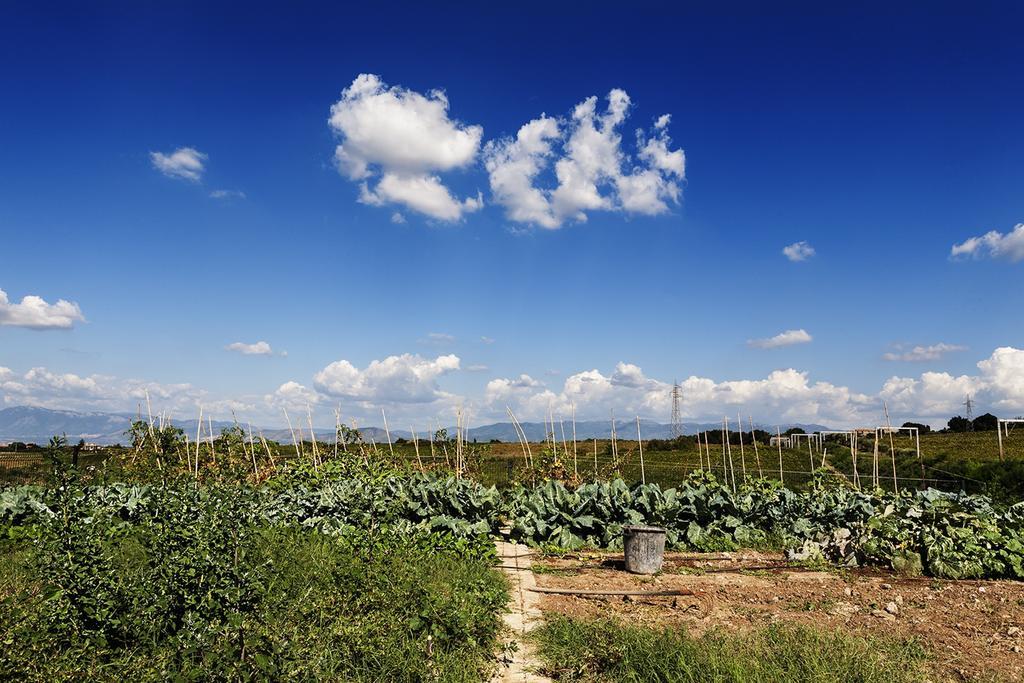 Merumalia Wine Resort Фраскаті Екстер'єр фото