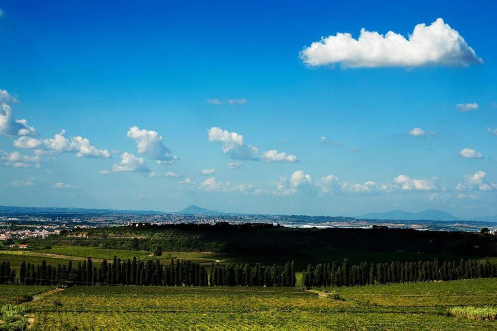 Merumalia Wine Resort Фраскаті Екстер'єр фото