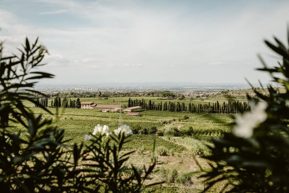 Merumalia Wine Resort Фраскаті Екстер'єр фото