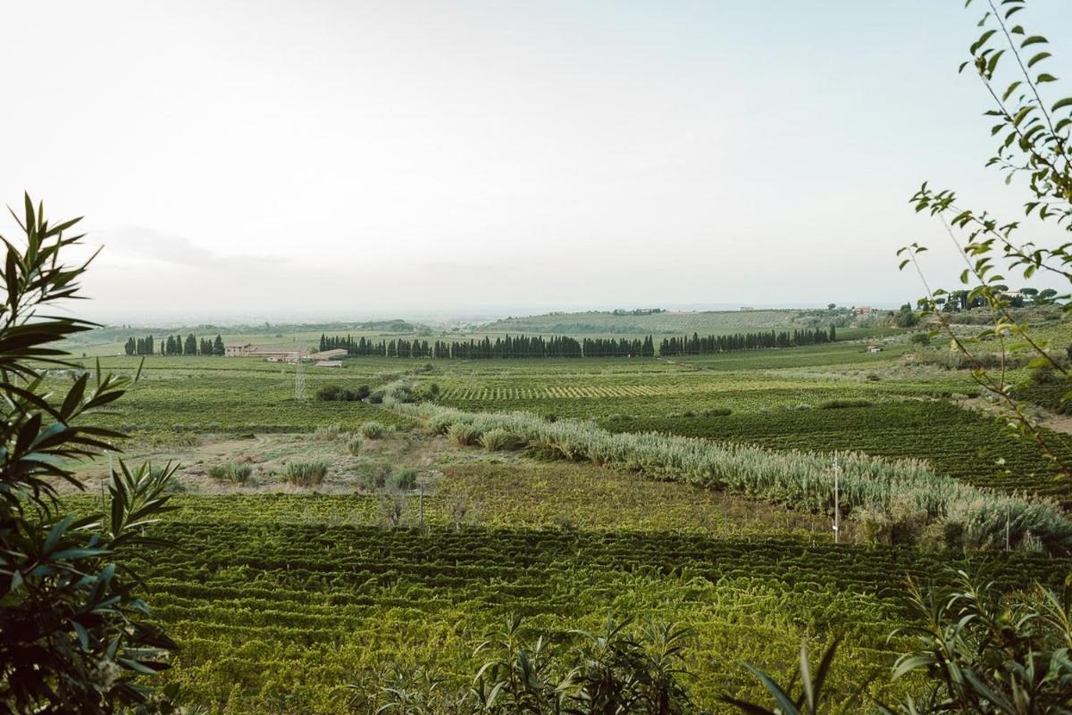 Merumalia Wine Resort Фраскаті Екстер'єр фото