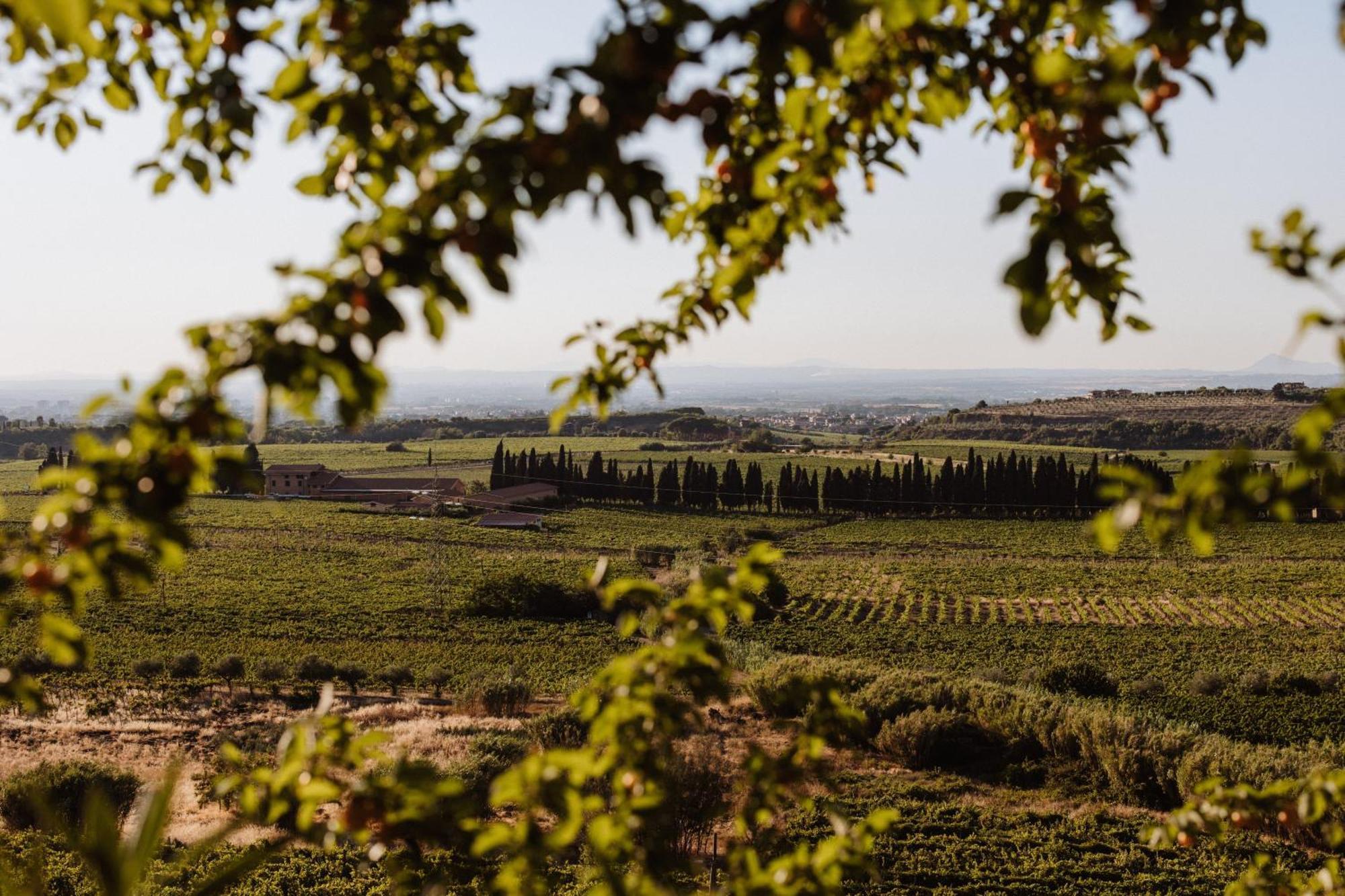 Merumalia Wine Resort Фраскаті Екстер'єр фото